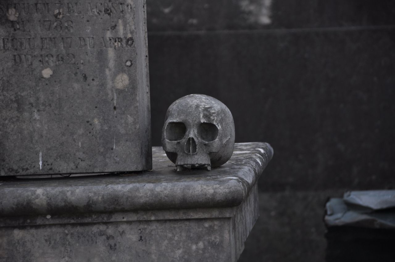 Menu Monochrome image of a skull on a gravestone in a haunting cemetery setting.